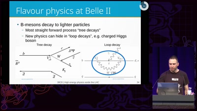 High energy physics aside the Large Hadron Collider