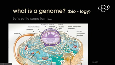 Computing Genomes &amp; what that has to do with privacy