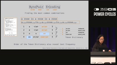 51 Ways to Spell the Image Giraffe: The Hidden Politics of Token Languages in Generative AI