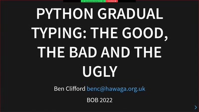 Python Gradual Typing: The Good, The Bad and the Ugly