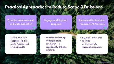 Creating a Sustainable Supply Chain in the Network Industry