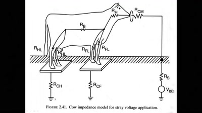 A Short History of Electric Shocks