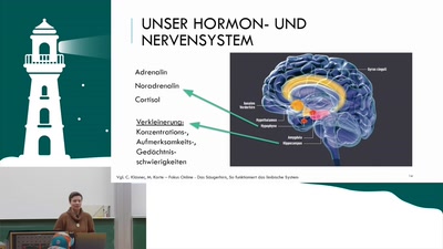 Negative Glaubenssätze &amp; ihre Wirkung