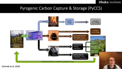 The Carbon Sink Solution(s)